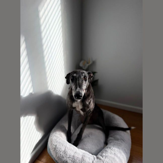 Photo of Cleo