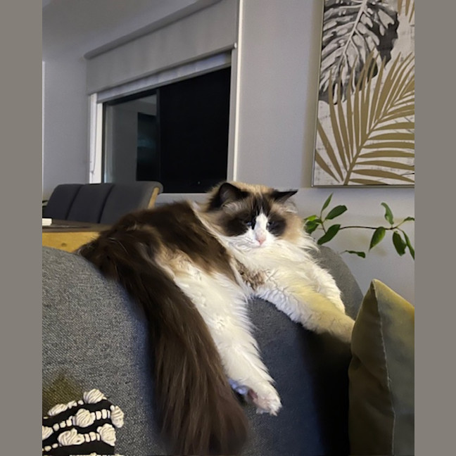 Photo of Sissi