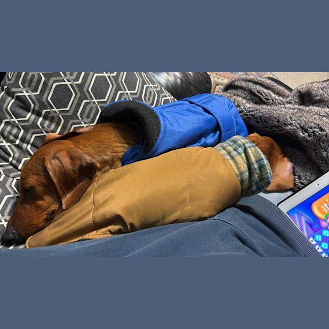 Photo of Evie And Ella