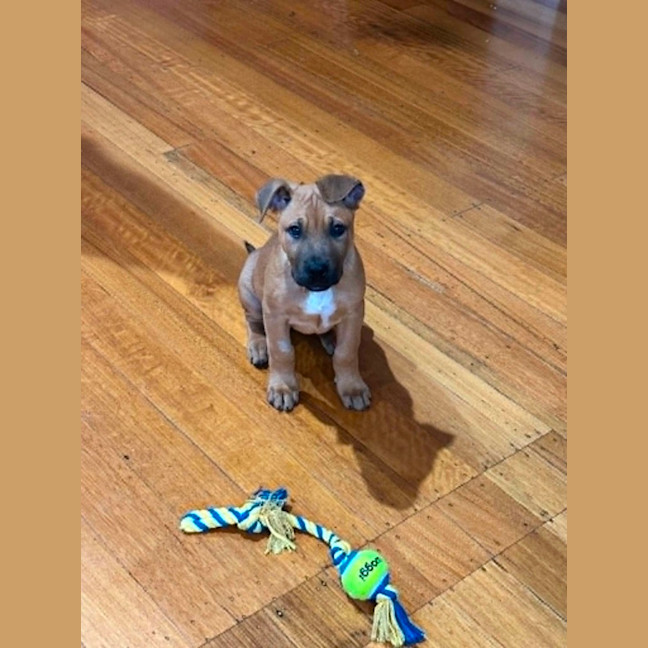 Photo of Freddie