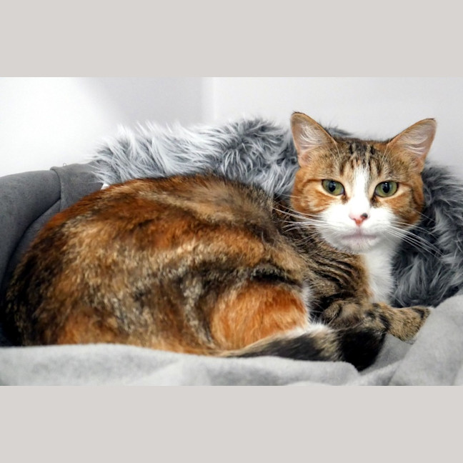 Photo of Nora Rsta013004