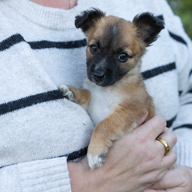 Photo of Mabel