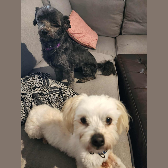 Photo of Cinder And Aj 