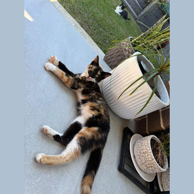 Photo of Holly
