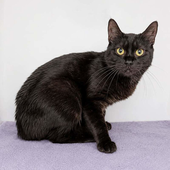 Photo of Cypress