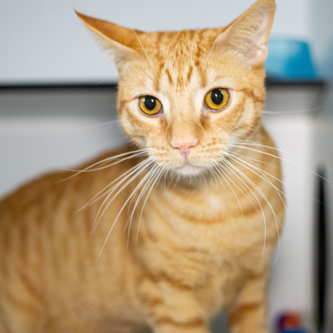 Photo of Monty