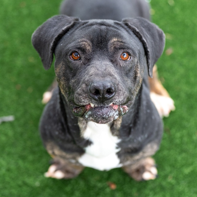 Photo of Fred Imp 2407