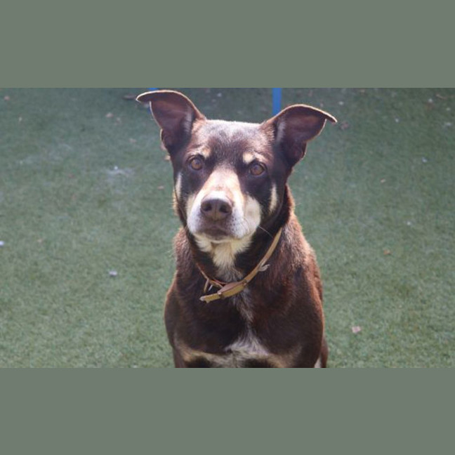 Photo of Monty