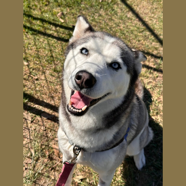 Photo of Freya
