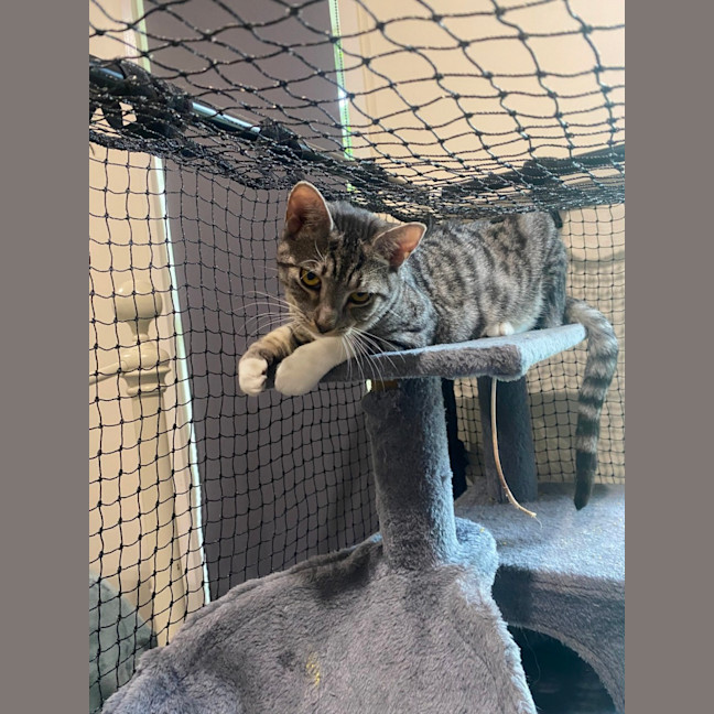 Photo of Leo And Raven❤️