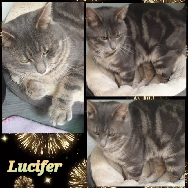 Photo of Lucifer