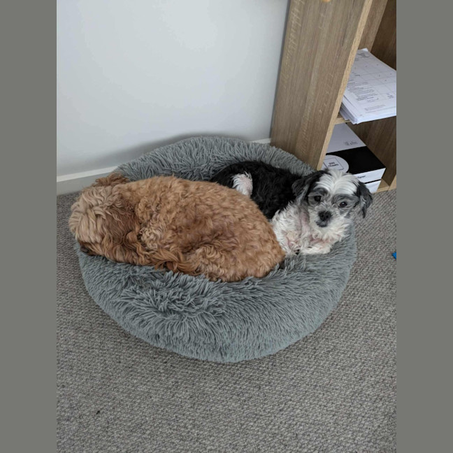 Photo of Molly
