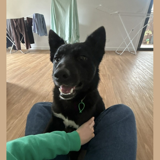 Photo of Axel