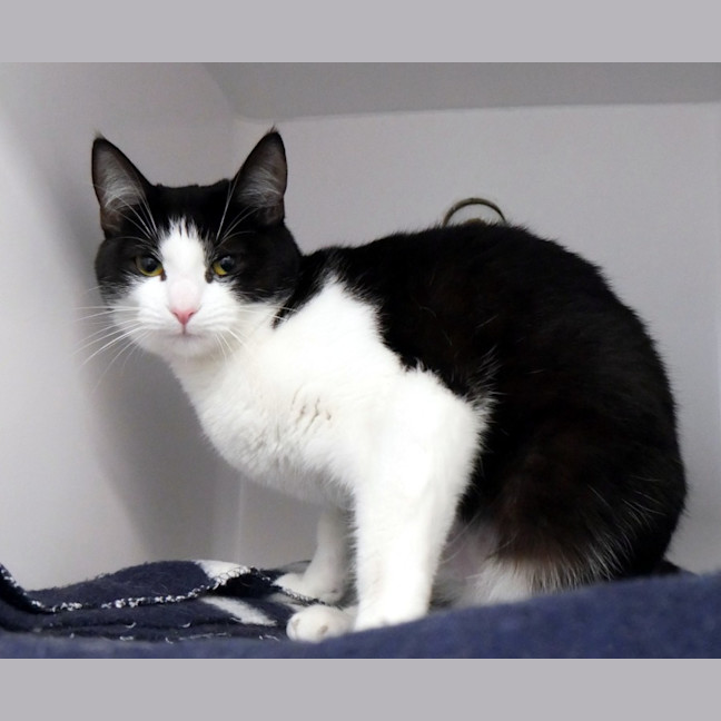 Photo of Chloe Sua014411