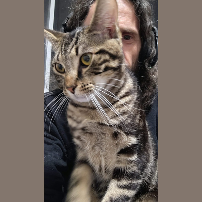 Photo of Murphy