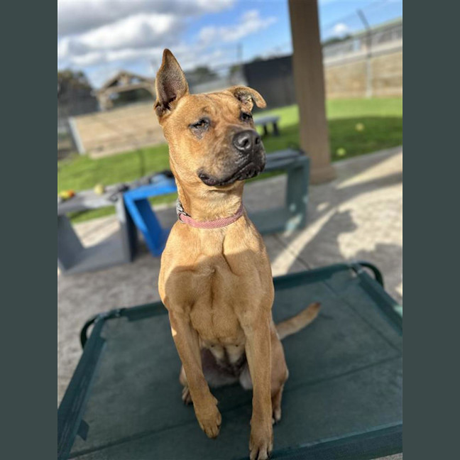 Photo of Ella