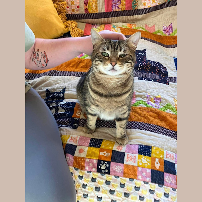 Photo of Sugar