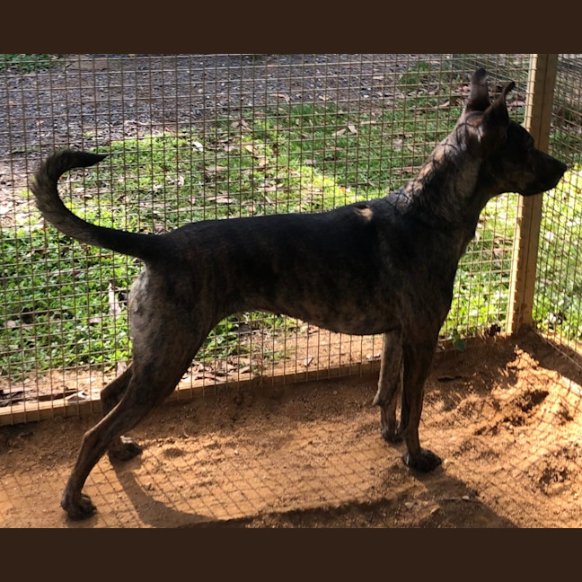 Photo of Missy