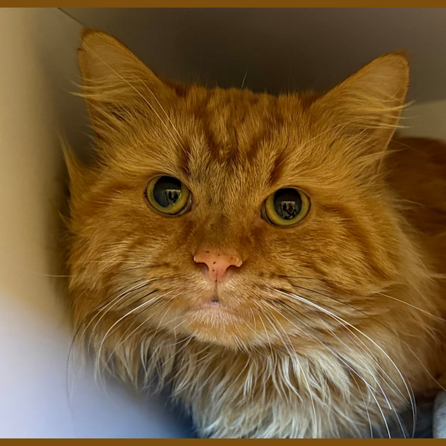 Photo of Harold
