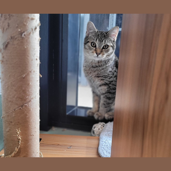 Photo of Oliver