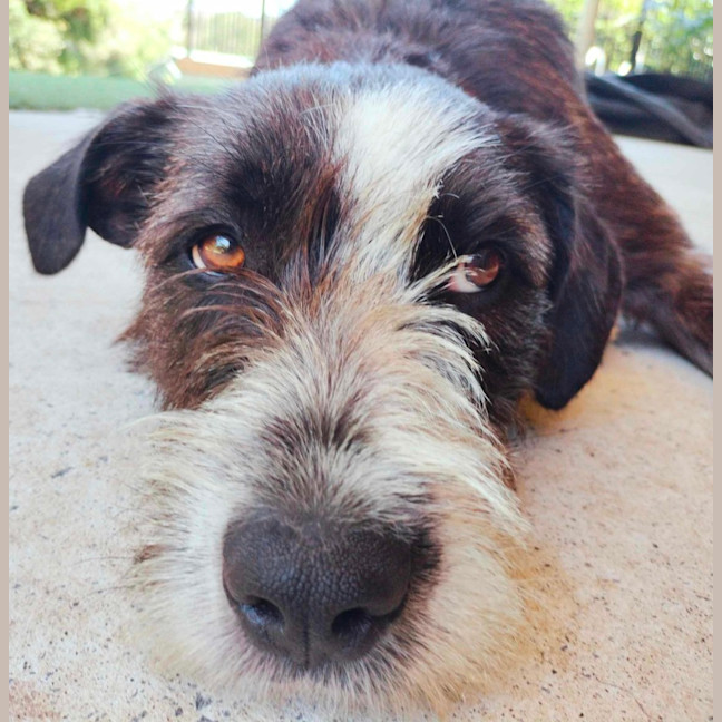Photo of Benson