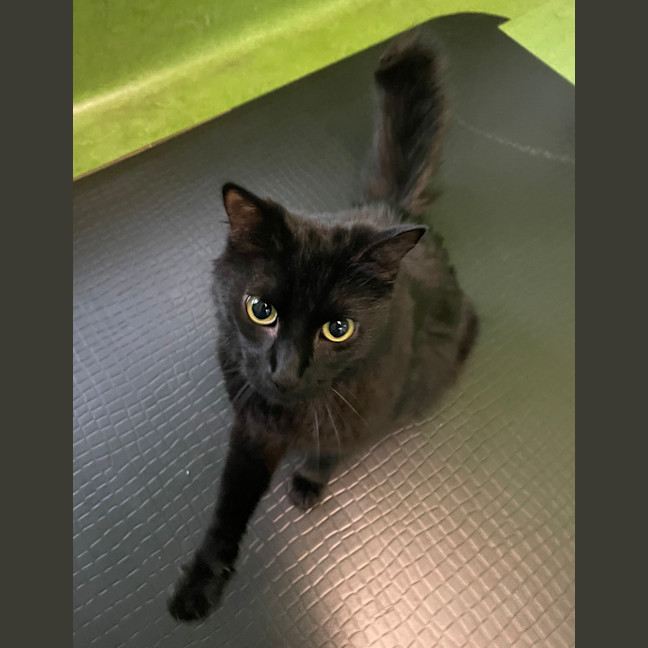 Photo of Zachary Binks