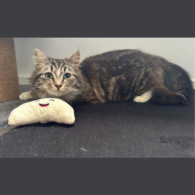 Photo of Bonnie