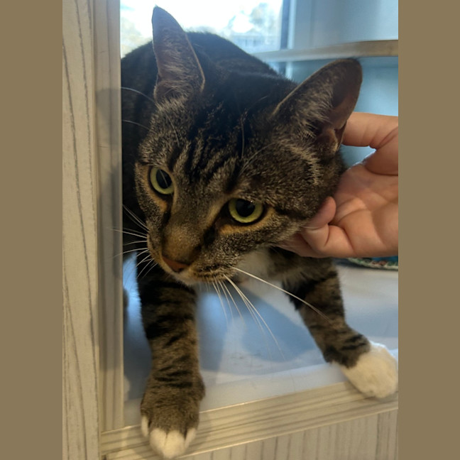 Photo of Cleo