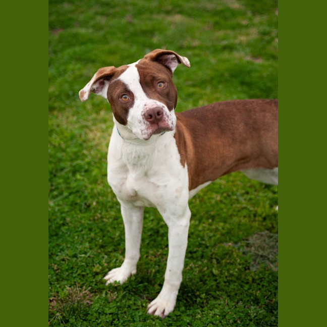 Photo of Bonnie