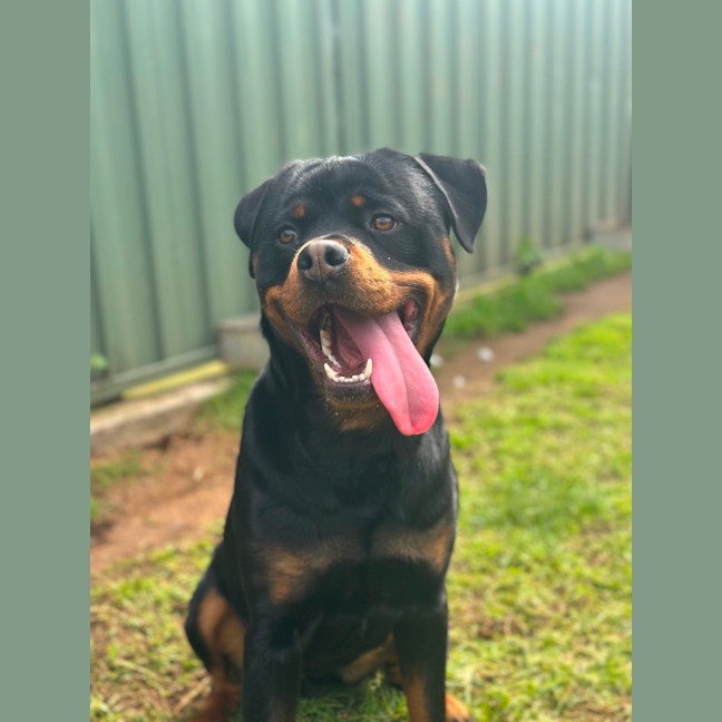 Photo of Max