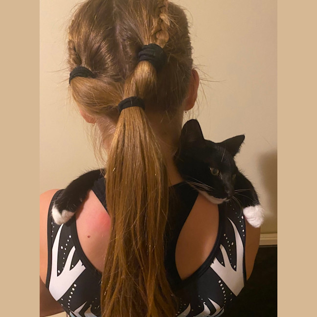 Photo of Sampson   Reduced Adoption Fee