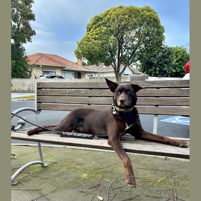 Photo of Milo Haliwell