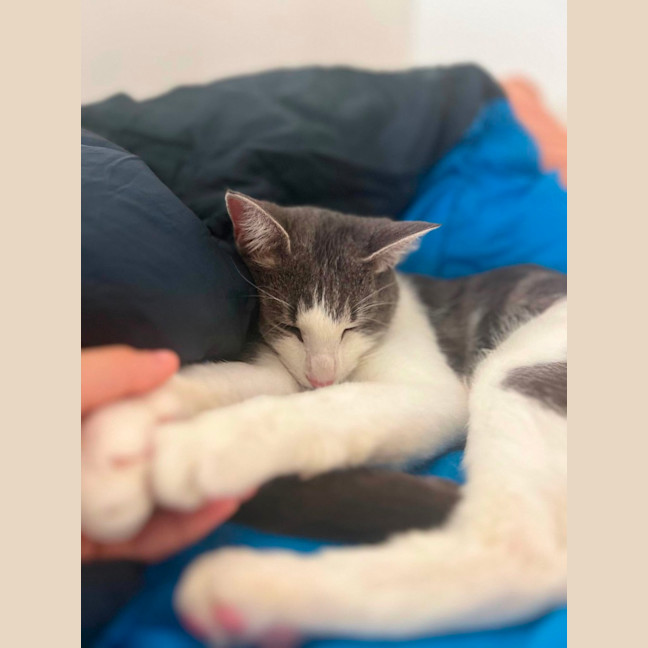Photo of Maisey