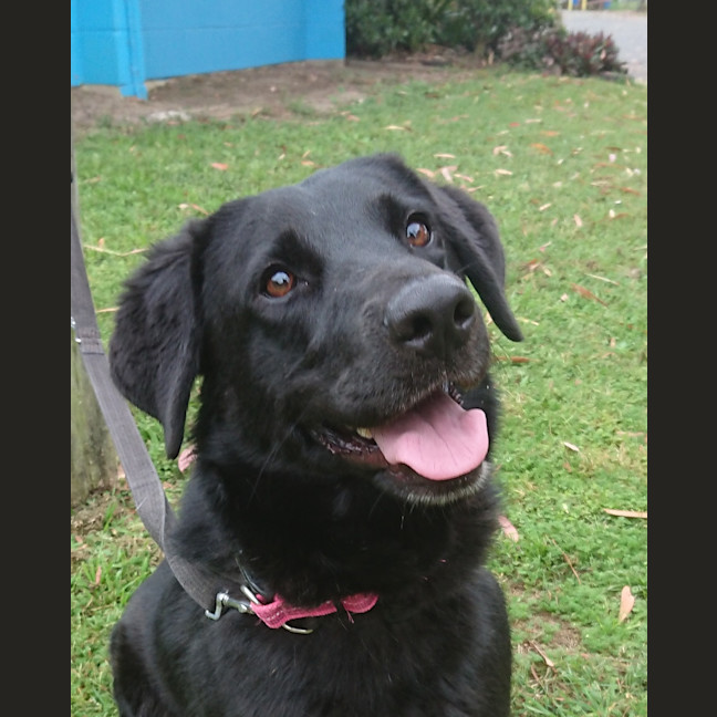 Photo of Lexi