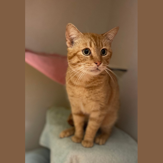Photo of Bmo