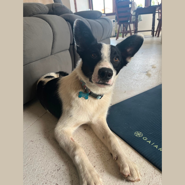 Photo of Clyde