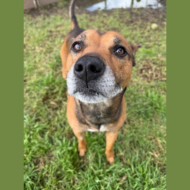 Photo of Scooby 