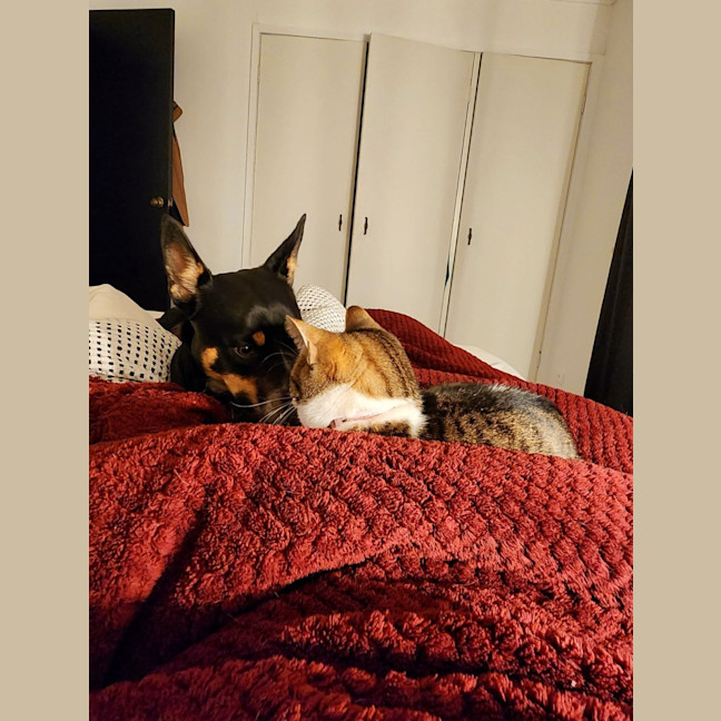 Photo of Astral