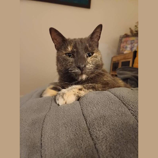 Photo of Smokey