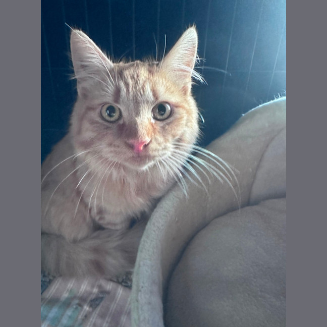 Photo of Ed