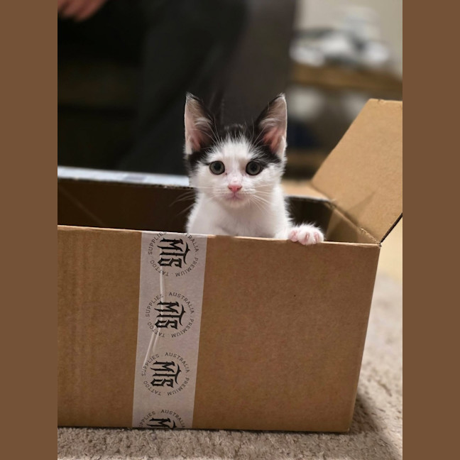 Photo of Banjo