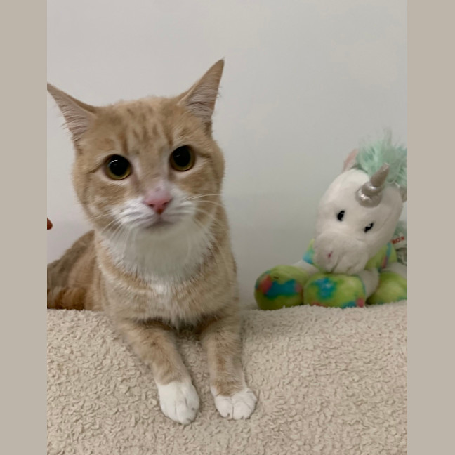 Photo of Jack