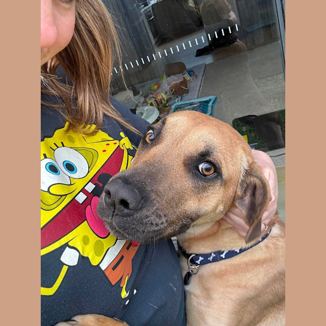 Photo of Maverick