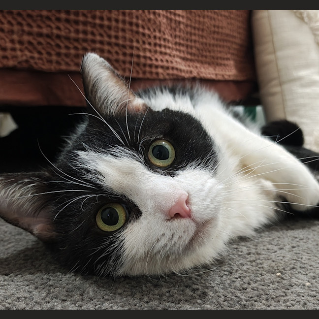 Photo of Billy