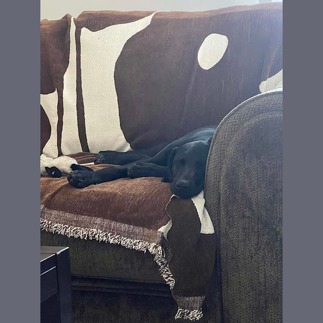Photo of Lexi
