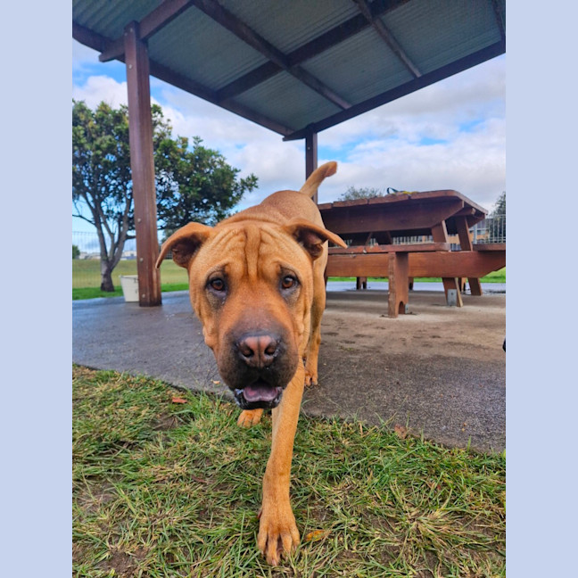 Photo of Wilma