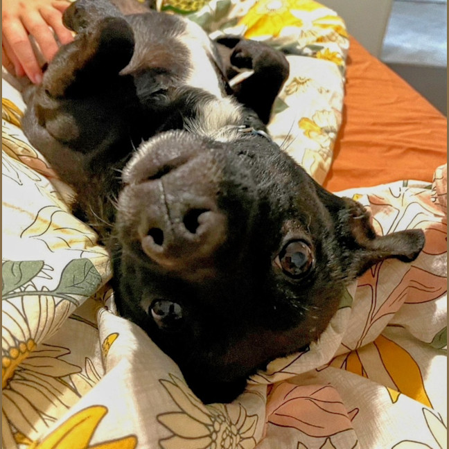 Photo of Jeff (Was Jet)