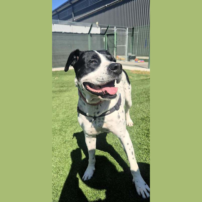 Photo of Penelope