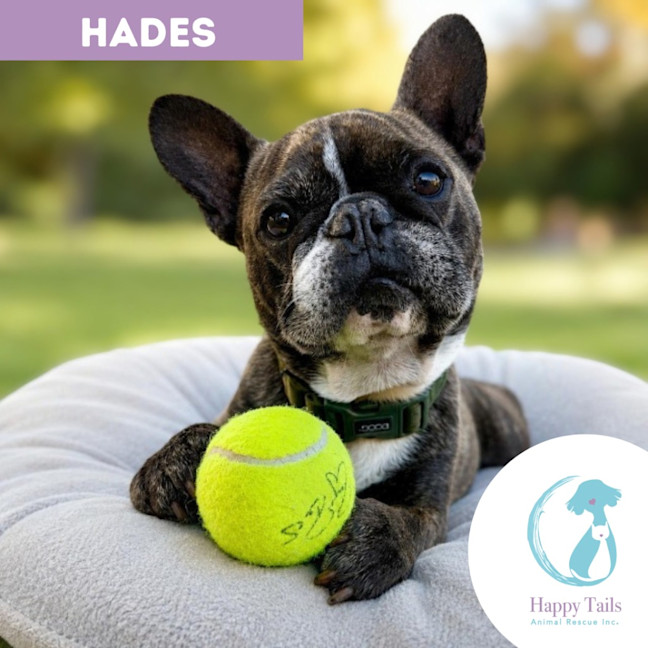 Photo of Hades