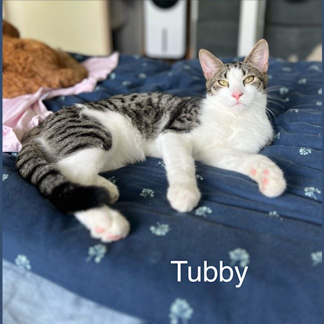 Photo of Tubby